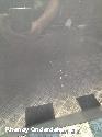 View Auto part PORTIER LV  PEUGEOT 208 2025