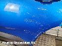 View Auto part PORTIER LA  OPEL / VAUXHALL GRANDLAND X 2021