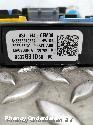 View Auto part Fuse Box VAUXHALL / OPEL CORSA 2023
